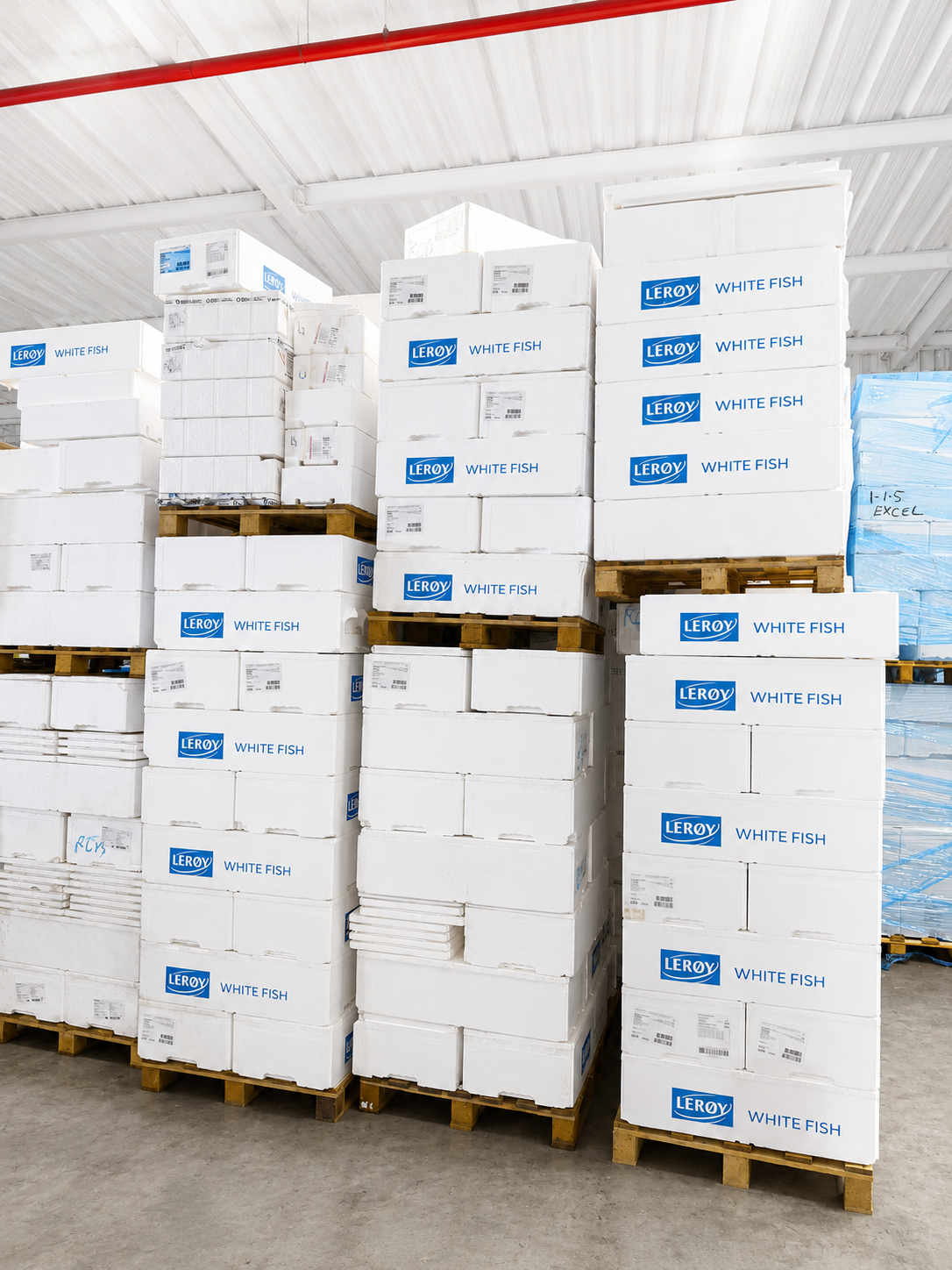 Stacked EPS fish boxes on pallets — polystyrene recycling